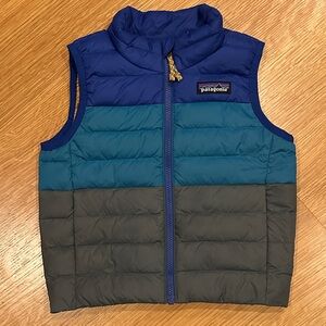Patagonia Tri-Color Puffer Vest